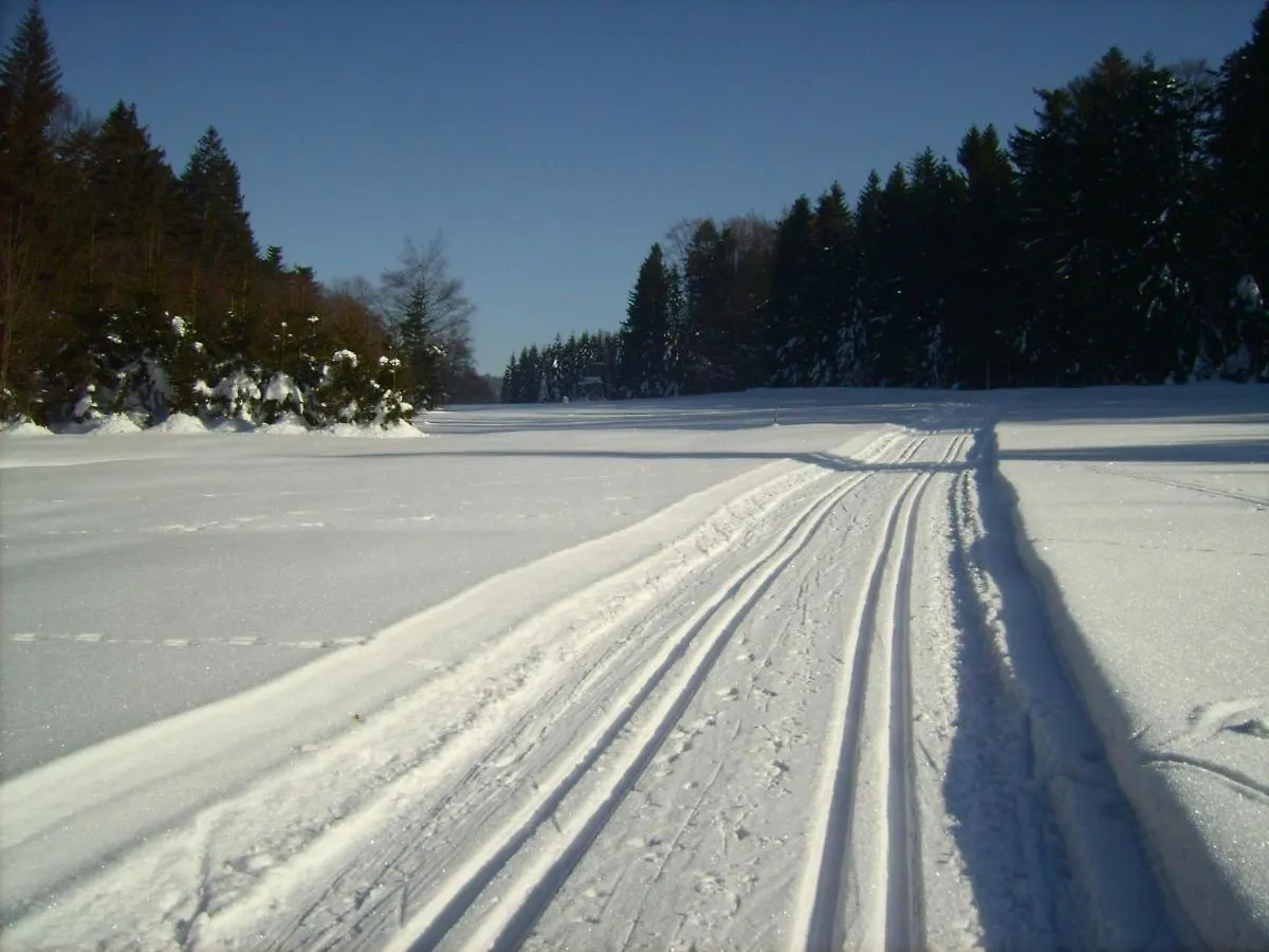 Апартаменты Bayern Ferienland Sonnenwald Schofweg 0*,  Германия