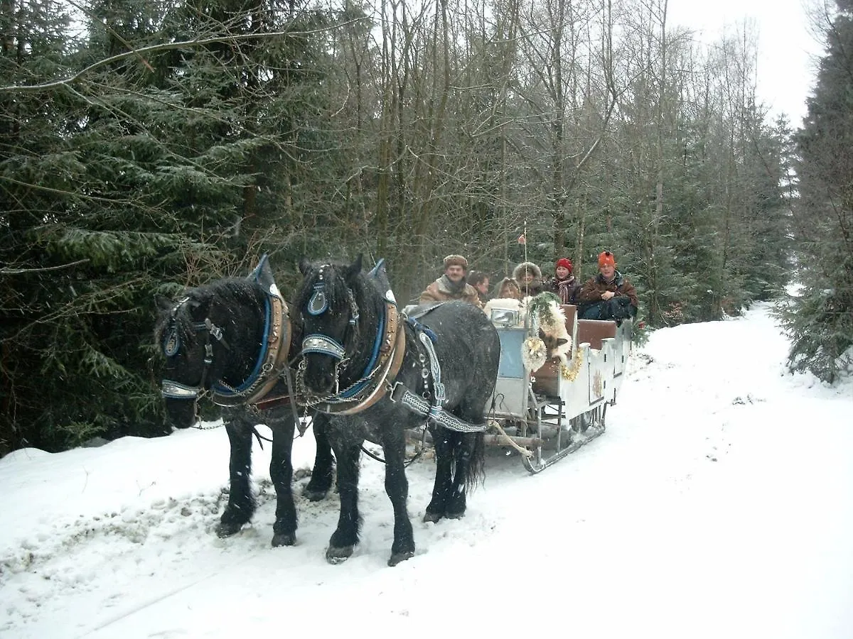 Апартаменты Bayern Ferienland Sonnenwald Schofweg